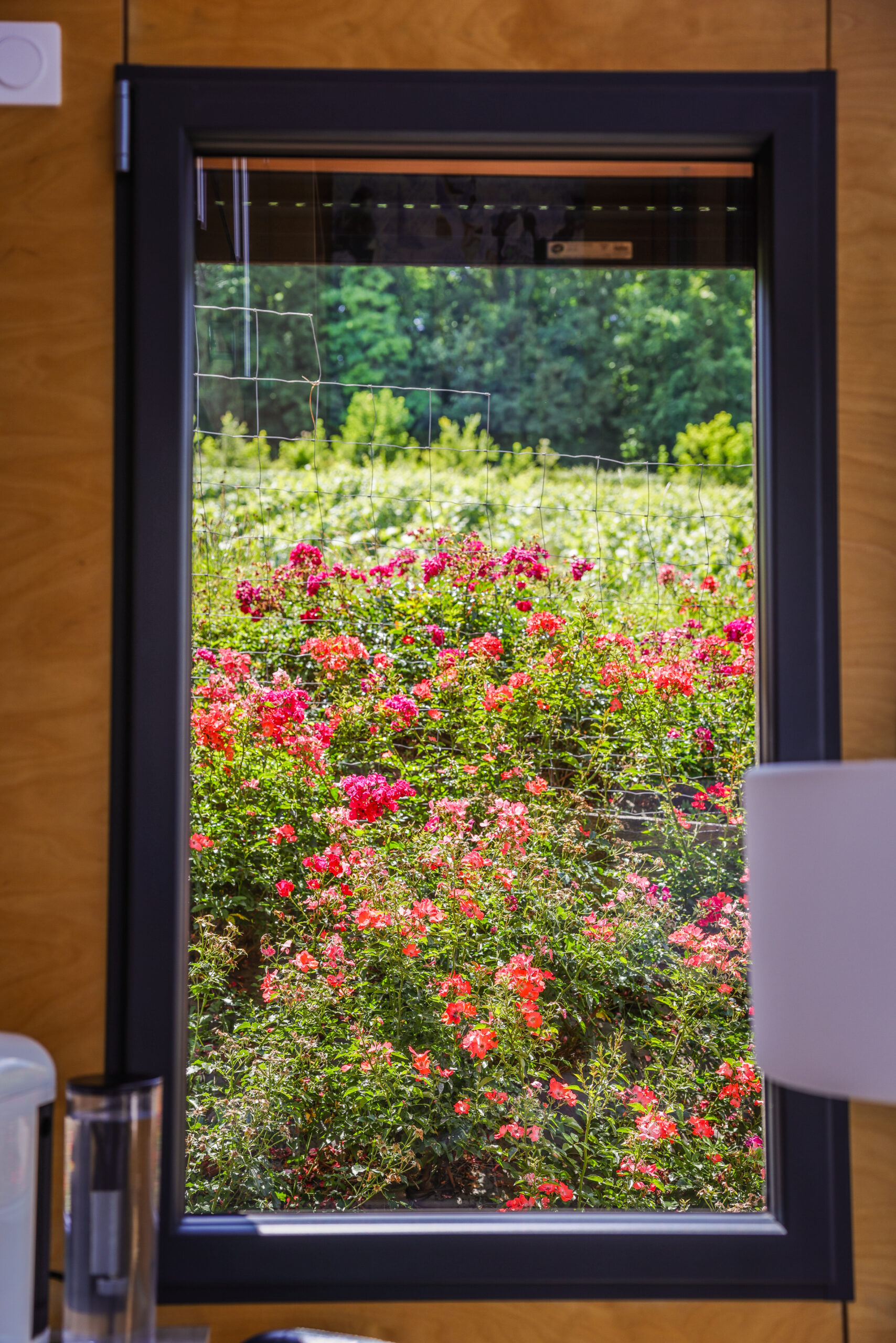Cottages Antoinette — Roses