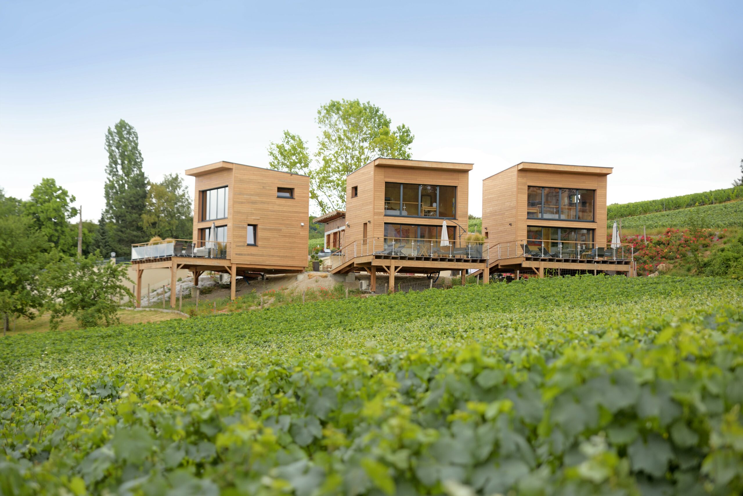 Cottages Antoinette — Vue extérieure