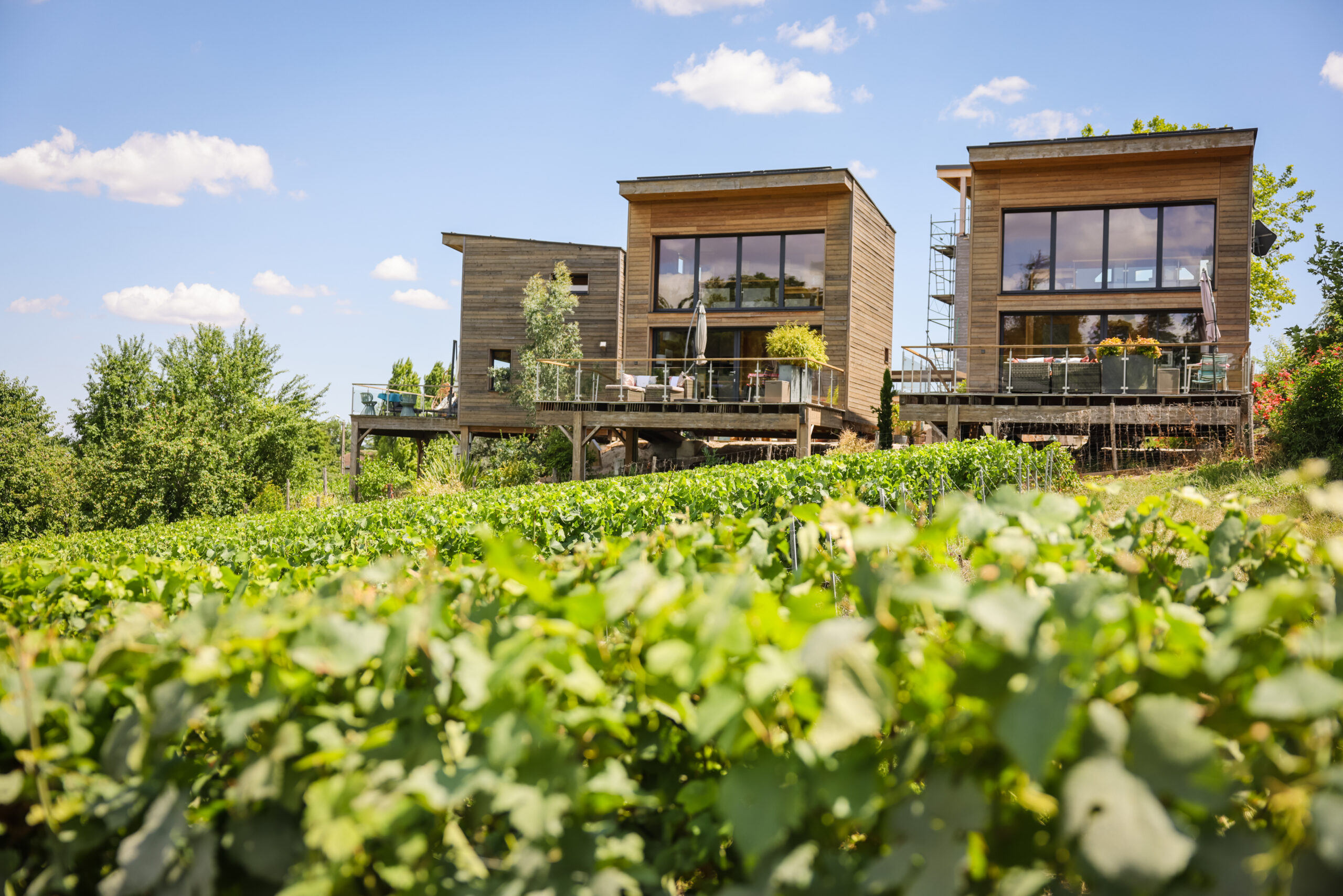 Cottages Antoinette — Vue sur le vignoble