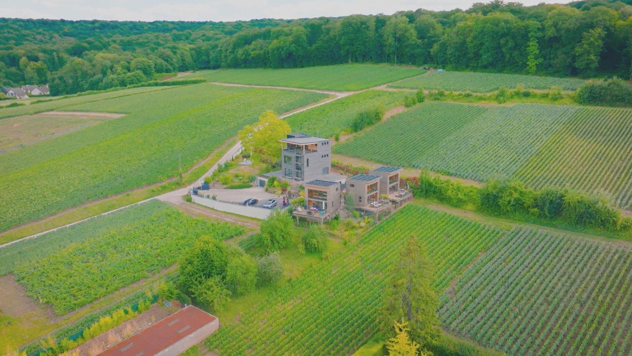 Vue panoramique sur le vignoble — La Vie en Roses