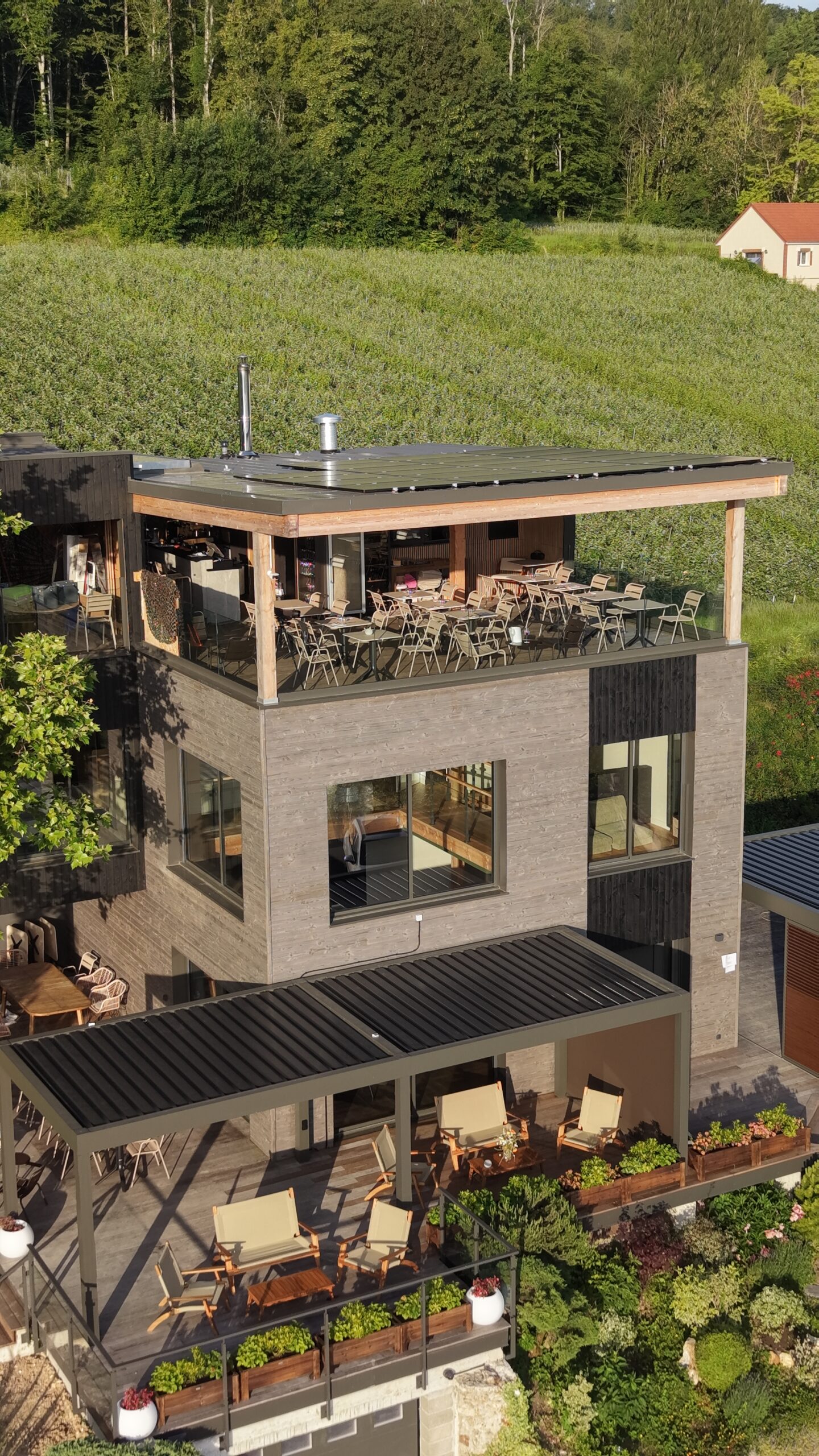 Vue panoramique sur le vignoble — La Vie en Roses